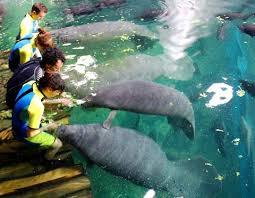 Parco Zoologico Faunia